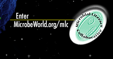 Enter MicrobeWorld.org/mlc